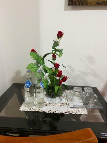 Hostal Casa Bolonia