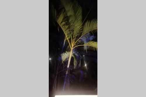 Villa Advani Home Stay - A Step Close To Paradise