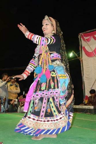 Hotel Mehar Desert Resort