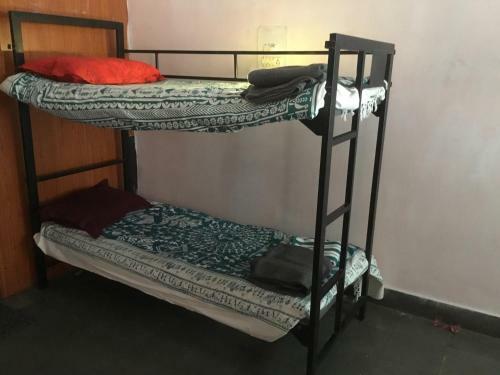 Albergue Greenhaze Living 2.0
