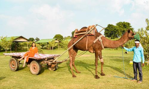Agroturismo Madhavgarh Farm