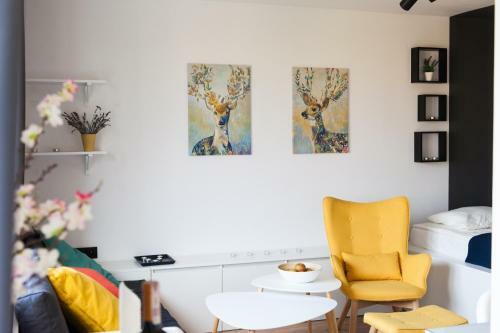 Apartament Zdrojovy