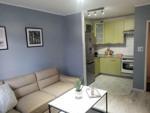 Apartament Dwupokojowy Trzynastka - Strze?ony Parking