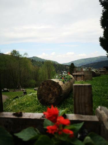 Albergue Bac�wka Pod Honem W Cisnej
