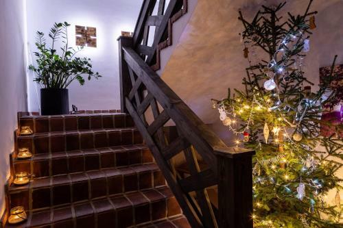 Bed & Breakfast Cisna Chata