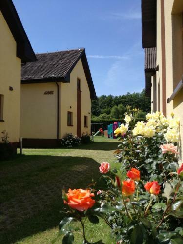 Lodge Milagro Baltico