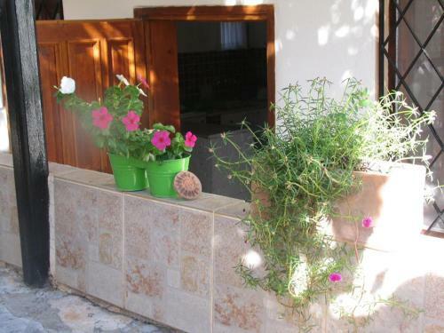 Pasha Apart Hotel