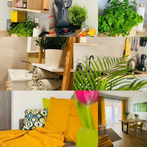 Apartamento Marina Luna