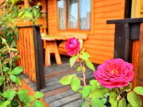 Apartamento Holiday Resort, Jaroslawiec