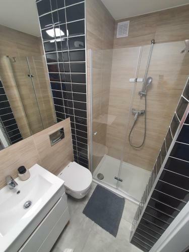 Jdk Apartamenty Mickiewicza 1 (34 M2)