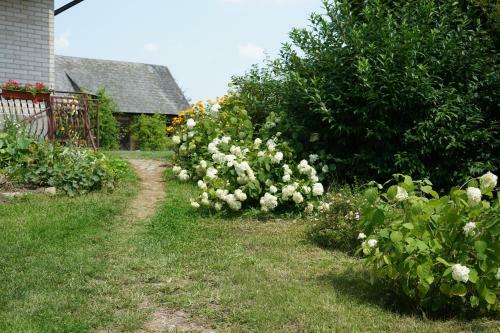 Gospodarstwo Agroturystyczne Biebrzanska Goscina