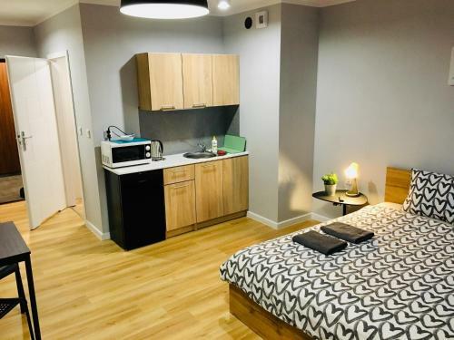 Holdek Apartamenty Ceglana