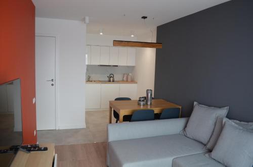 Vitreyd Apartamenty Sokolska 33