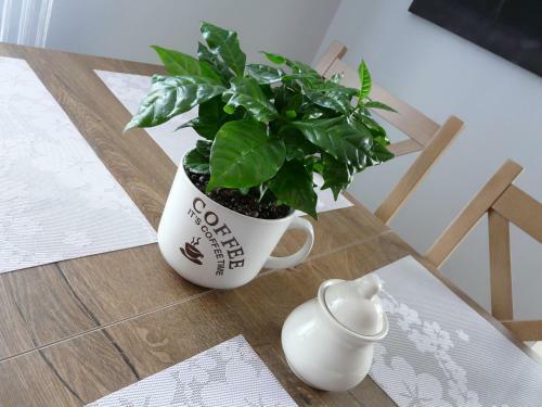 Apartamenty U Pi?tk�w