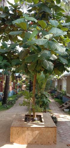Hotel Dreams Of Palolem Beach Huts Goa
