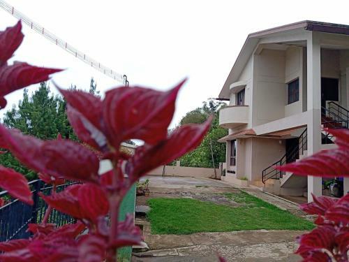Tree Top Villa Kodaikanal Homestay