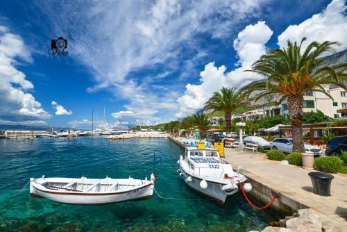 Villa Violet Salt Water Pool & Free Beach Parking