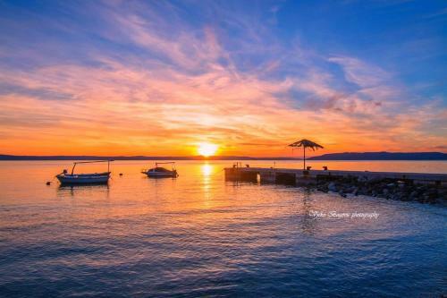 Villa Violet Salt Water Pool & Free Beach Parking