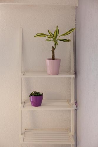 Apartamento Andea