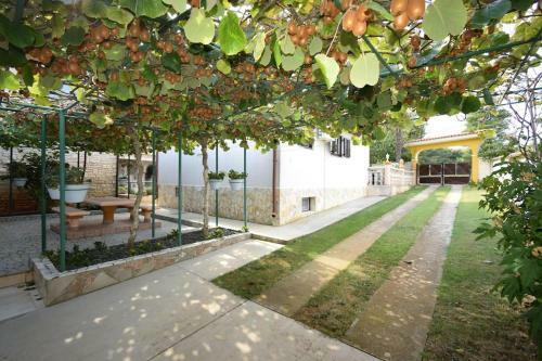 Apartment Liljana With Shared Swimming Pool