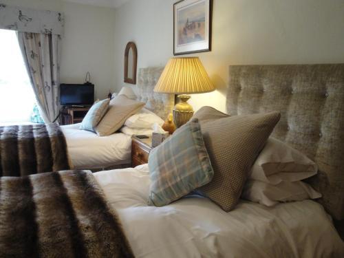 Bed & Breakfast Cary Fitzpaine House