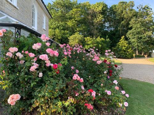Bed & Breakfast Cary Fitzpaine House