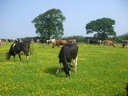 Highdown Farm Holiday Cottages