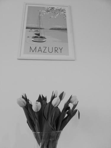 Apartament, Port, Pla?a I Ty