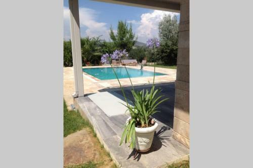 Villa Zen De Lux