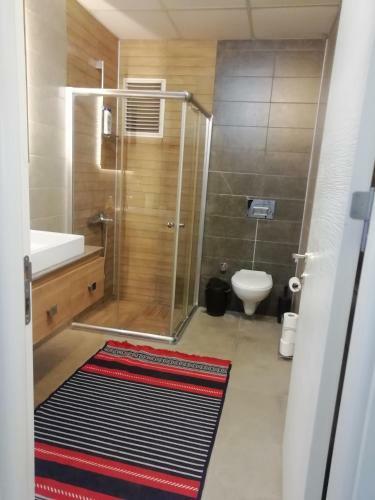Apartamento ?ehir Merkezinde 1+1 L�ks Daire