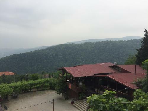 Bed & Breakfast Menzara Restaurant Konaklama