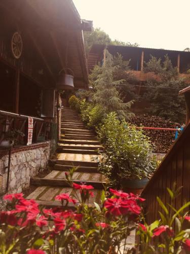 Bed & Breakfast Menzara Restaurant Konaklama