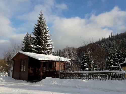 Lodge Zb�jnicki Ost?p-nocleg Trapera