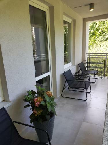 Apartament Polonia