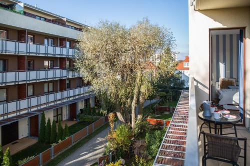 Apartament Seashell Ko?obrzeg Bocianie Gniazdo