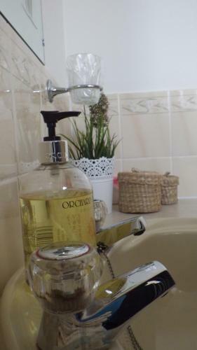 Bed & Breakfast Davar