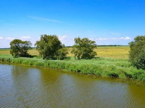 Heigham View