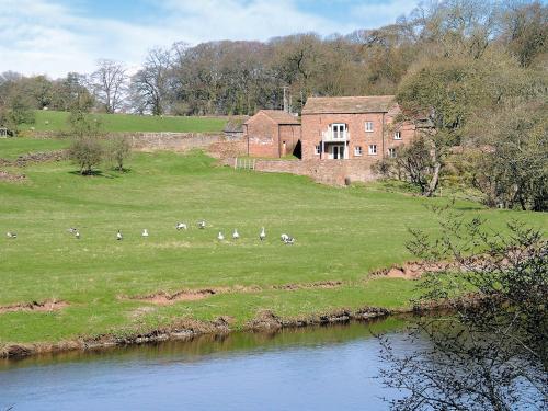 Crakeld Holm
