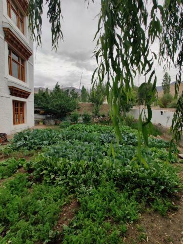 Hostal Namra Villa