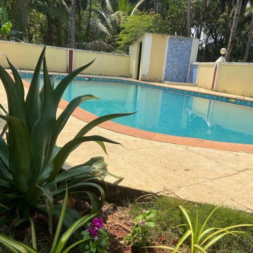 Villa Sun-kissed Holidays, Dabolim, Goa- Aquarius