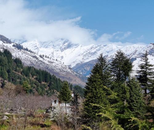 Safar Hostel Manali