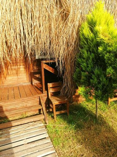 Hotel Green Pine Bungalows & Beach Luxury Concept