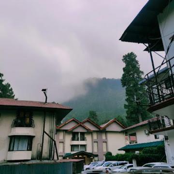 Hostal The Wood Resort