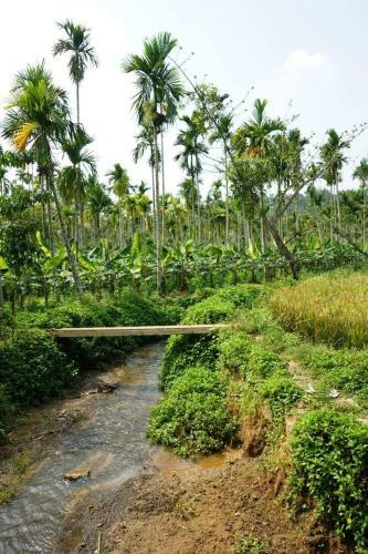 Agroturismo Wayal Wayanad Farm Resort
