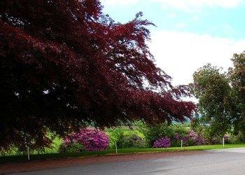 The Urr Valley Country House Hotel