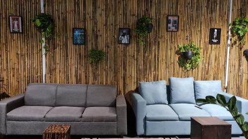 Hoshtel99 - Stay, Cowork & Cafe - A Backpacker Hostel