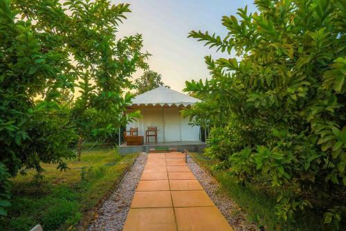 Hotel Ranthambore Tiger Inn Comfort Resort