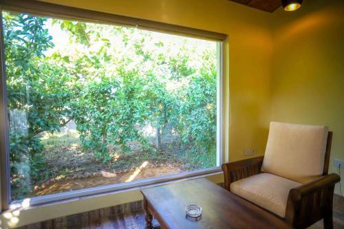Hotel Ranthambore Tiger Inn Comfort Resort