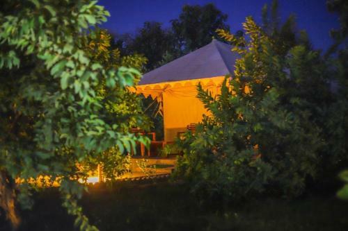 Hotel Ranthambore Tiger Inn Comfort Resort