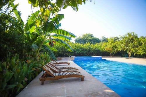 Hotel Ranthambore Tiger Inn Comfort Resort
